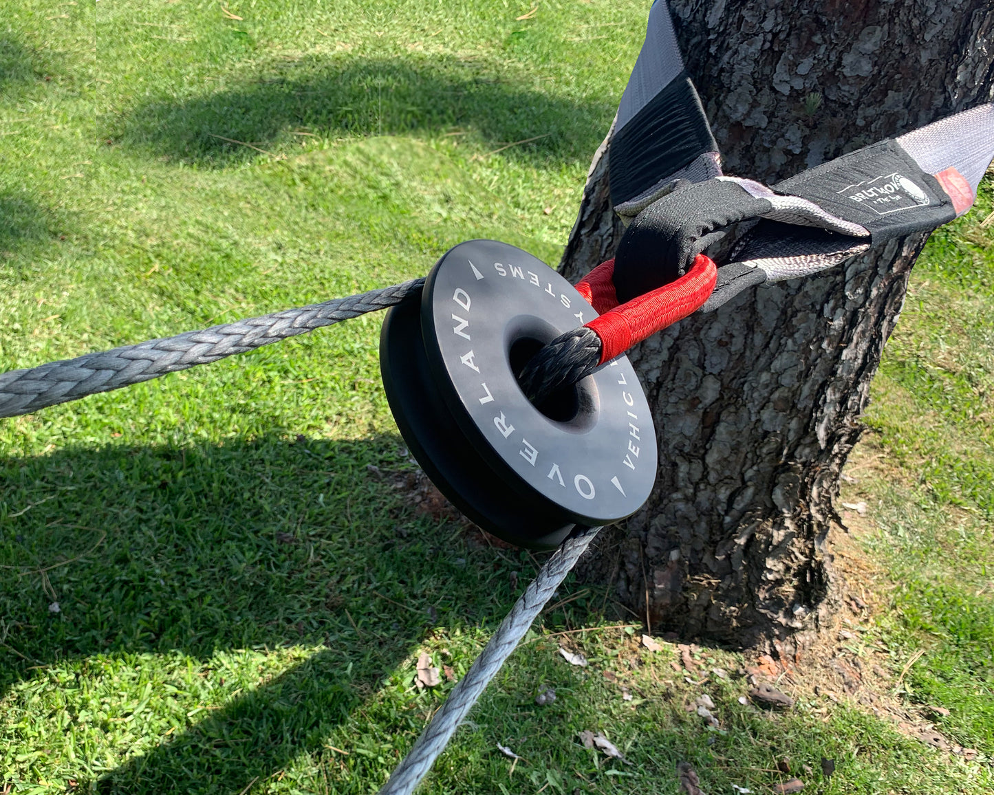 Tree with a rope, strap and recovery ring attached to a tree on grassy ground