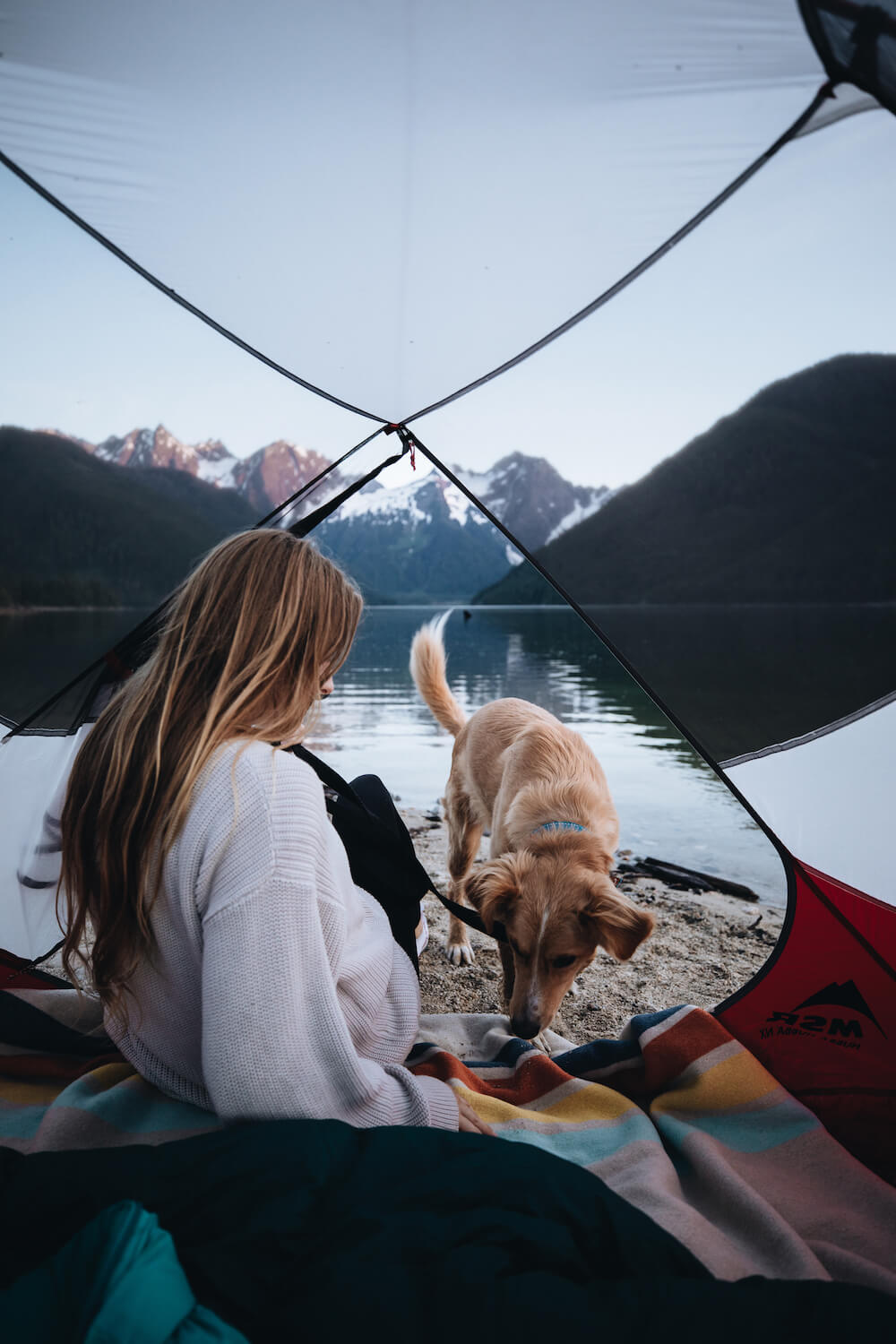 Person and dog sitting inside a tent overlooking a lake with mountains in the background