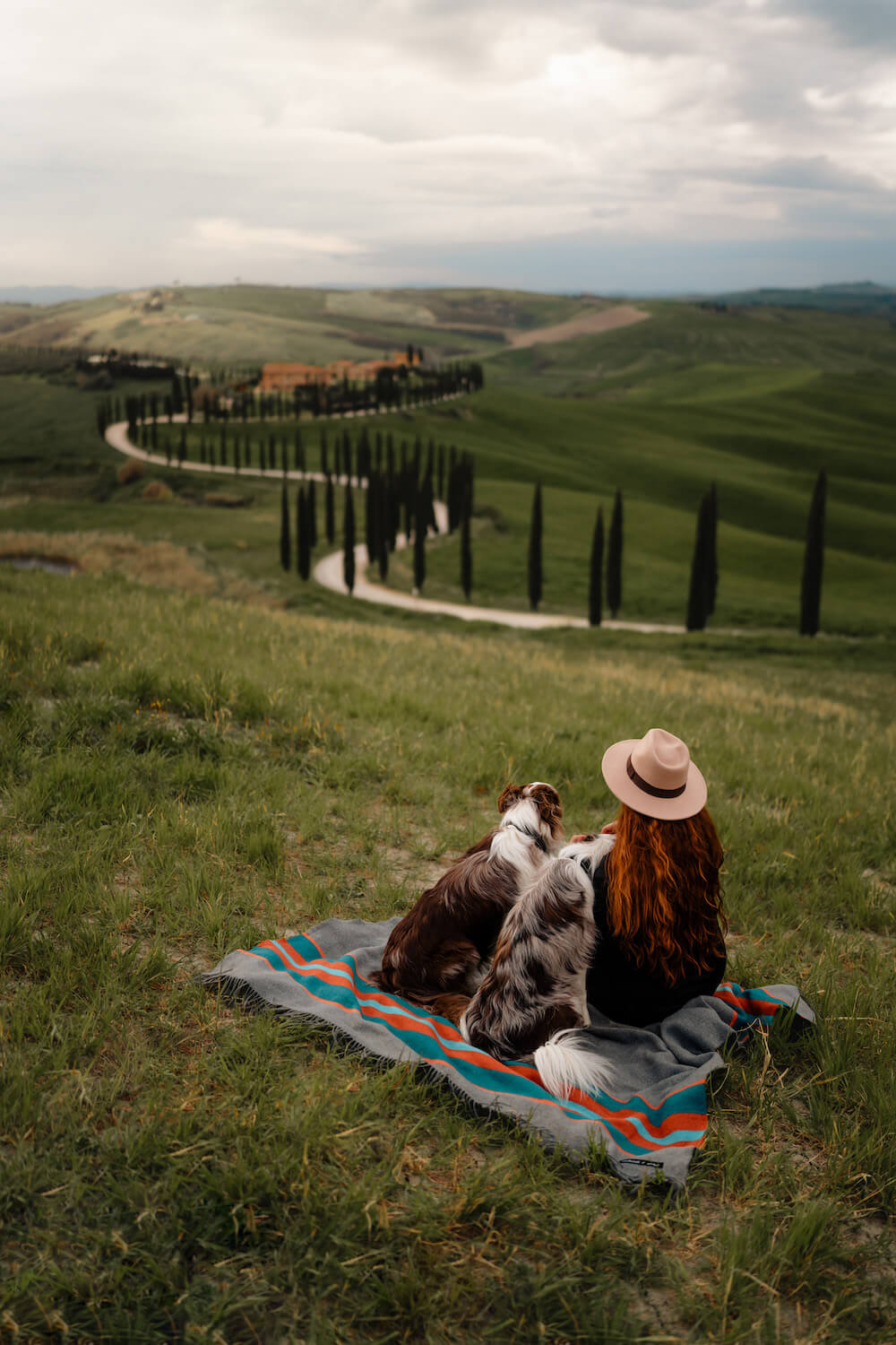 Woman with two dogs sitting on a blanket in a scenic, hilly landscape.
