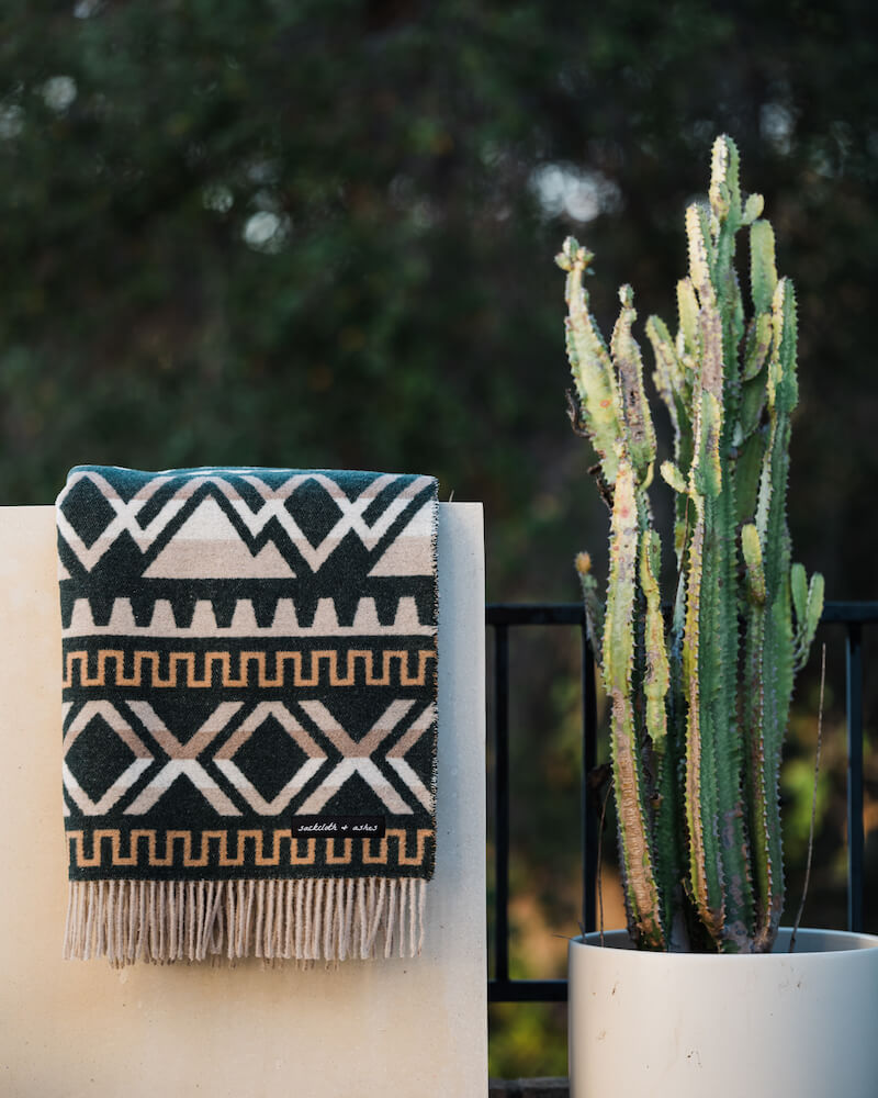 Patterned blanket on a chair next to a cactus plant outdoors