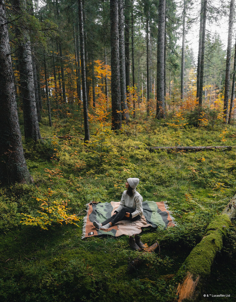 Person sitting on a blanket in a forest