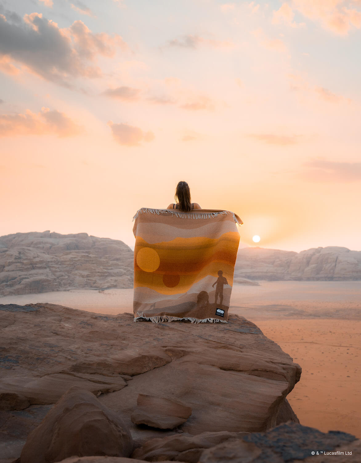 Person standing on a rocky outcrop overlooking a desert landscape with a sunset.